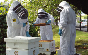 Glen Scotia Beehives and Beekeepers