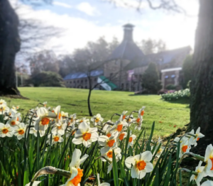 Aberfeldy Distillery