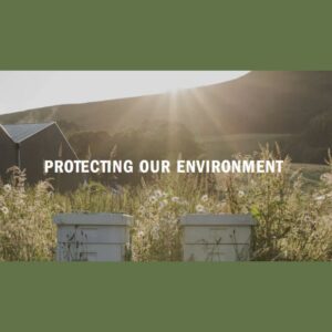 Protecting our environment image