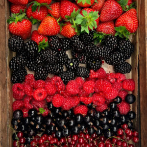 Berries from Pittormie Farm