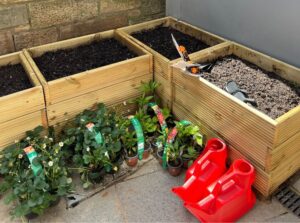 Urban planters at The Scotch Whisky Experience
