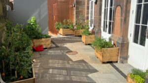 SWE's Urban Garden