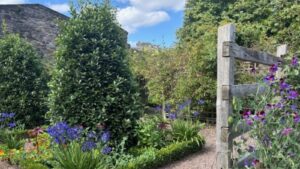 Dunbar court garden, Edinburgh