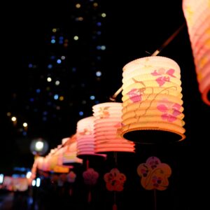 Imsge of yellow lantersn with pink followers upon a night sky with twinkling lights.